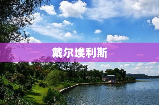 戴尔埃利斯:一款高性能轻薄本 戴尔埃利斯:一款高性能轻薄本