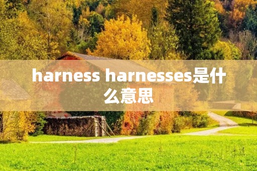 harness harnesses是什么意思