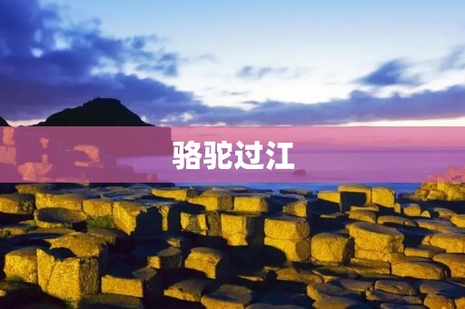 骆驼过江：一场艰难的跨越
