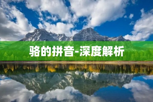 骆的拼音-深度解析