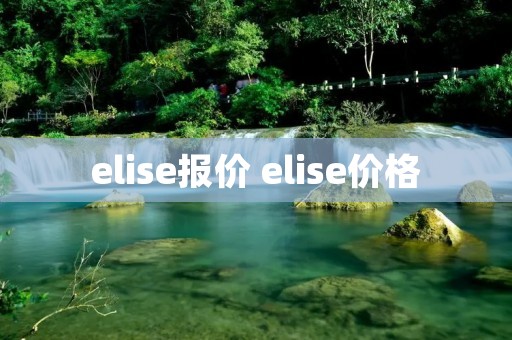 elise报价 elise价格