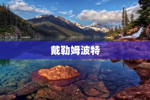 戴勒姆波特:一个魔法世界的传奇 戴勒姆波特:一个魔法世界的传奇