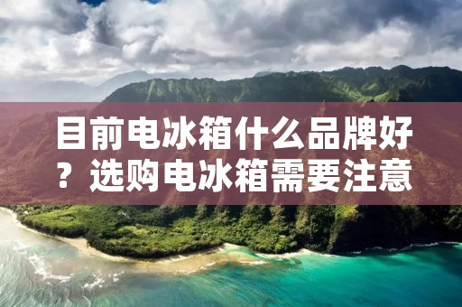 目前电冰箱什么品牌好?选购电冰箱需要注意哪些问题? 目前电冰箱什么品牌好?选购电冰箱需要注意哪些问题?