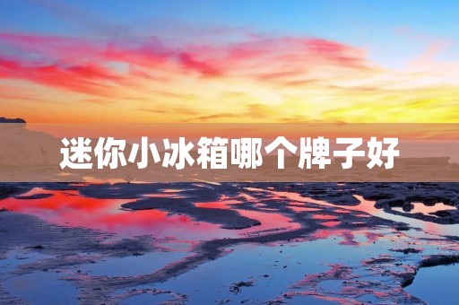 迷你小冰箱哪个牌子好