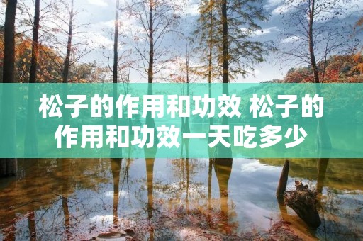 松子的作用和功效 松子的作用和功效一天吃多少 松子的作用和功效 松子的作用和功效一天吃多少