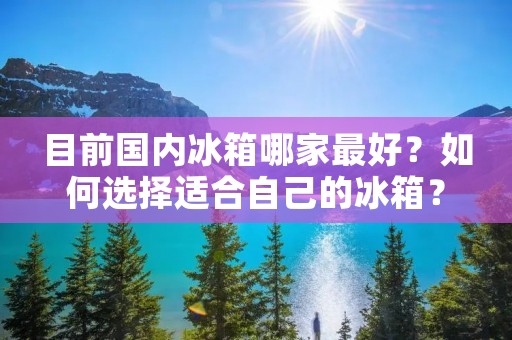 目前国内冰箱哪家最好？如何选择适合自己的冰箱？