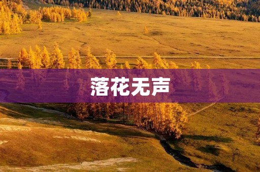 落花无声：一场春天的离别
