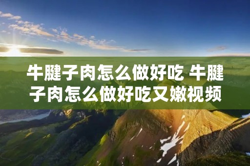 牛腱子肉怎么做好吃 牛腱子肉怎么做好吃又嫩视频