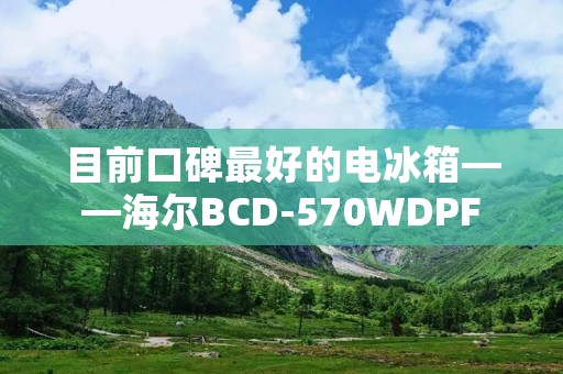 目前口碑最好的电冰箱——海尔BCD-570WDPF 目前口碑最好的电冰箱——海尔BCD-570WDPF