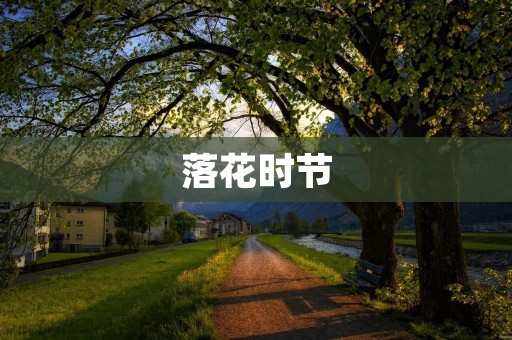 落花时节：一场短暂而美丽的盛宴