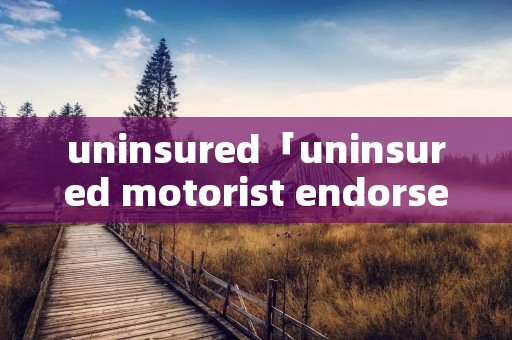 uninsured「uninsured motorist endorsement」 uninsured「uninsured motorist endorsement」