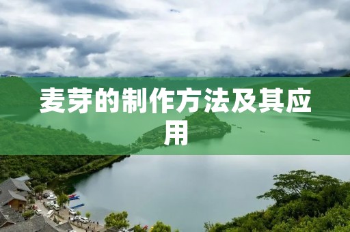 麦芽的制作方法及其应用 麦芽的制作方法及其应用