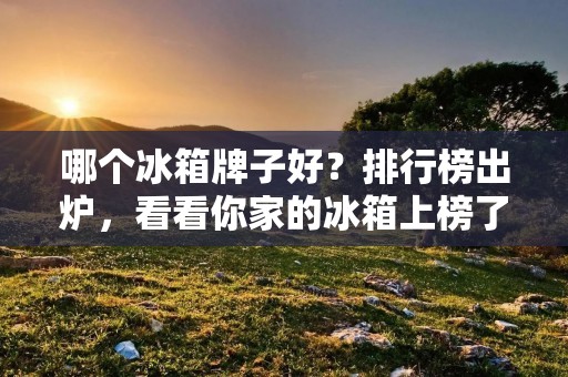 哪个冰箱牌子好?排行榜出炉,看看你家的冰箱上榜了吗? 哪个冰箱牌子好?排行榜出炉,看看你家的冰箱上榜了吗?