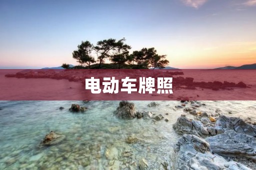 电动车牌照：新时代交通管理的必然选择