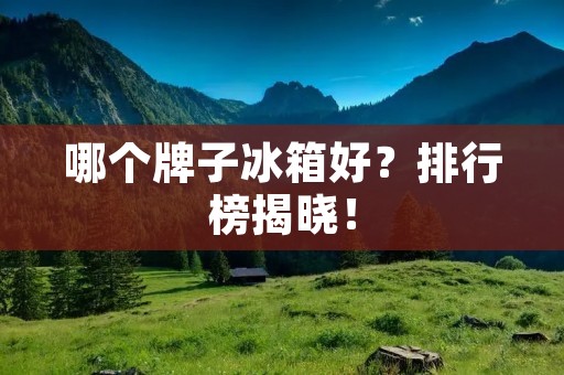 哪个牌子冰箱好？排行榜揭晓！