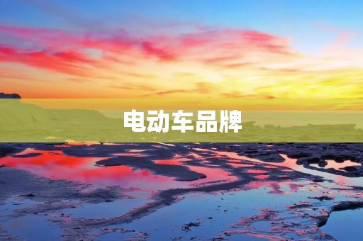 电动车品牌:如何选择适合自己的电动车? 电动车品牌:如何选择适合自己的电动车?