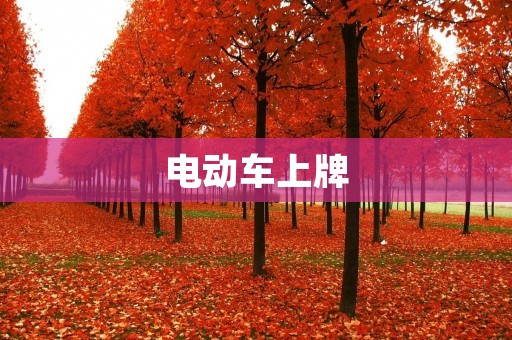 电动车上牌：详解手续和注意事项