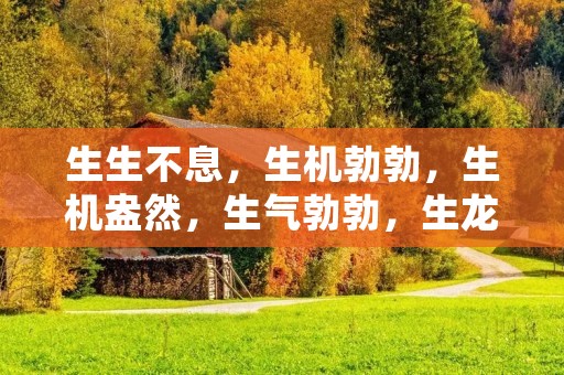 生生不息，生机勃勃，生机盎然，生气勃勃，生龙活虎，生机勃勃，生生世世，生生不已，生生不息……这些以“生”字开头的成语，无不表现出生命的崇高和不息的力量。而以“盛”字开头的成语，则更多地表达了事物繁荣兴旺的状态和人们对美好生活的向往。本文将详细介绍与“盛”字相关的成语，探究它们的内涵和用法。