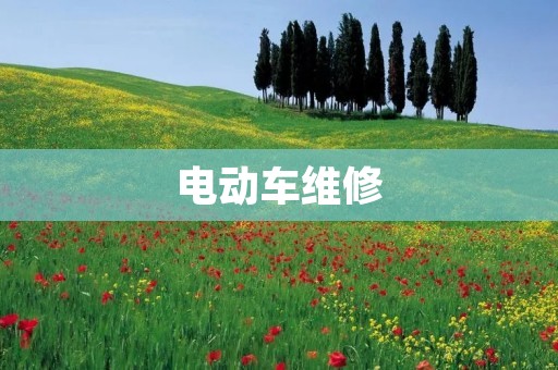 电动车维修：如何解决常见问题