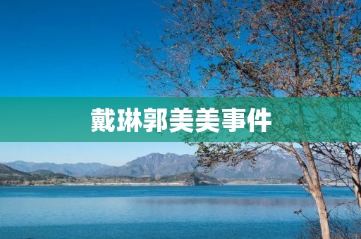 戴琳郭美美事件:财富与道德的博弈 戴琳郭美美事件:财富与道德的博弈