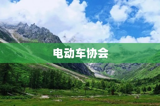 电动车协会：推动电动车产业发展的重要力量