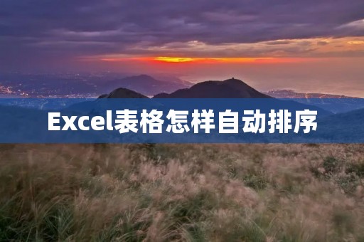 Excel表格怎样自动排序