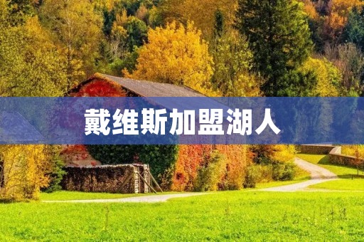 戴维斯加盟湖人:能否让湖人再次称霸NBA?