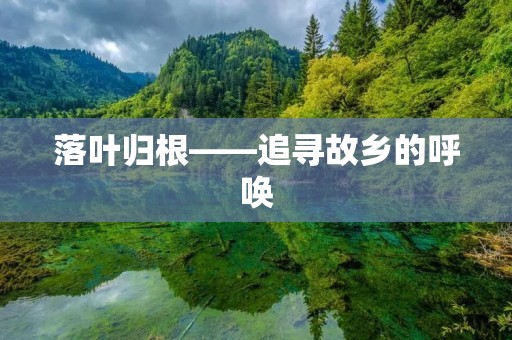 落叶归根——追寻故乡的呼唤