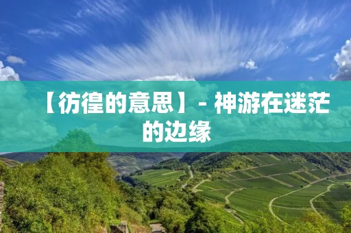 【彷徨的意思】- 神游在迷茫的边缘