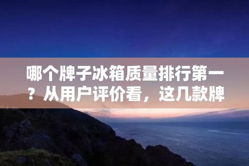 哪个牌子冰箱质量排行第一？从用户评价看，这几款牌子最受欢迎！