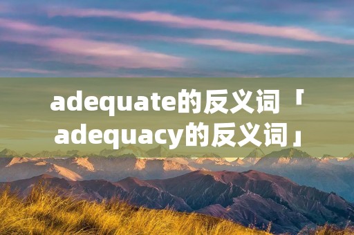 adequate的反义词「adequacy的反义词」