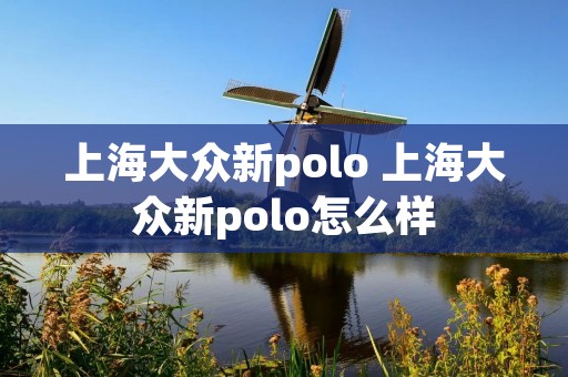 上海大众新polo 上海大众新polo怎么样 上海大众新polo 上海大众新polo怎么样