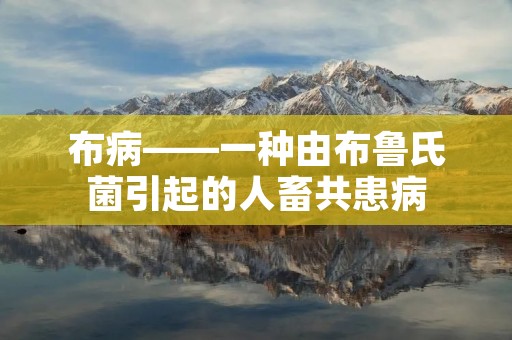 布病——一种由布鲁氏菌引起的人畜共患病