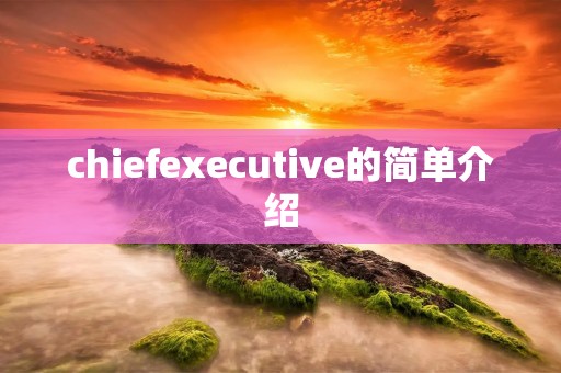 chiefexecutive的简单介绍 chiefexecutive的简单介绍