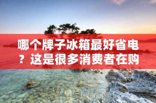哪个牌子冰箱最好省电?这是很多消费者在购买冰箱时经常关心的问题。毕竟,冰箱是家庭中耗电量较大的电器之一,选择一款省电的冰箱不仅能够减少家庭用电支出,还能够为环保事业做出一份贡献。那么,下面就让我们来了解一下哪个牌子的冰箱最好省电吧! 哪个牌子冰箱最好省电?这是很多消费者在购买冰箱时经常关心的问题。毕竟,冰箱是家庭中耗电量较大的电器之一,选择一款省电的冰箱不仅能够减少家庭用电支出,还能够为环保事业做出一份贡献。那么,下面就让我们来了解一下哪个牌子的冰箱最好省电吧!
