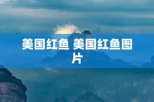 美国红鱼 美国红鱼图片