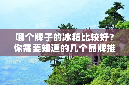 哪个牌子的冰箱比较好?你需要知道的几个品牌推荐 哪个牌子的冰箱比较好?你需要知道的几个品牌推荐