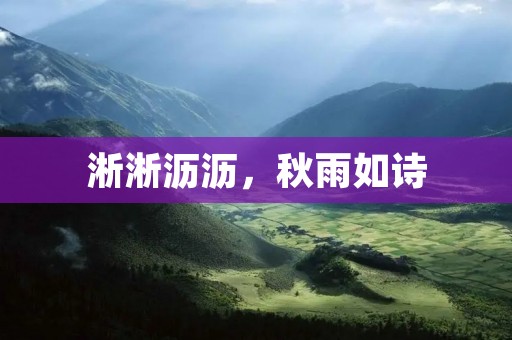 淅淅沥沥，秋雨如诗