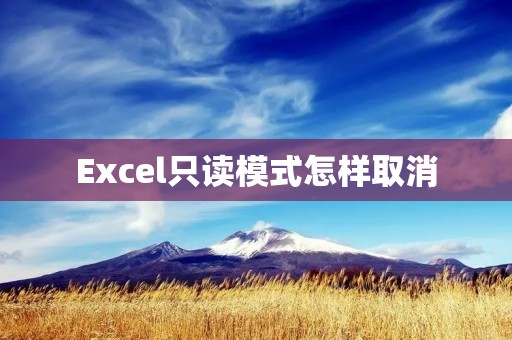 Excel只读模式怎样取消