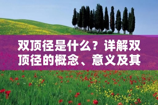 双顶径是什么?详解双顶径的概念、意义及其测量方法