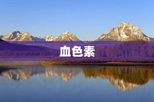 血色素:身体中重要的氧气运输者