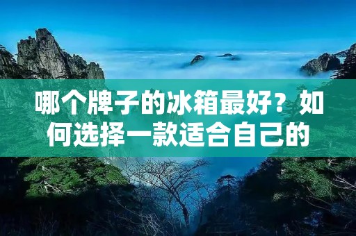 哪个牌子的冰箱最好？如何选择一款适合自己的冰箱？
