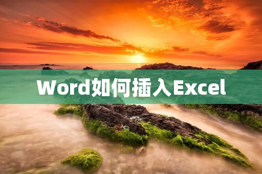 Word如何插入Excel
