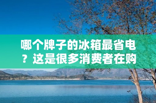 哪个牌子的冰箱最省电?这是很多消费者在购买冰箱时都会关心的一个问题。随着人们环保意识的提高以及能源价格的上涨,省电已经成为了消费者选择家电产品的一个非常重要的指标。那么,哪个牌子的冰箱最省电呢?下面,我们将从多个方面来分析这个问题。 哪个牌子的冰箱最省电?这是很多消费者在购买冰箱时都会关心的一个问题。随着人们环保意识的提高以及能源价格的上涨,省电已经成为了消费者选择家电产品的一个非常重要的指标。那么,哪个牌子的冰箱最省电呢?下面,我们将从多个方面来分析这个问题。