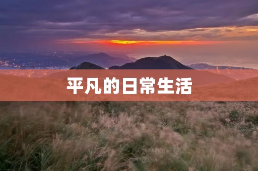 平凡的日常生活：细节中的美好
