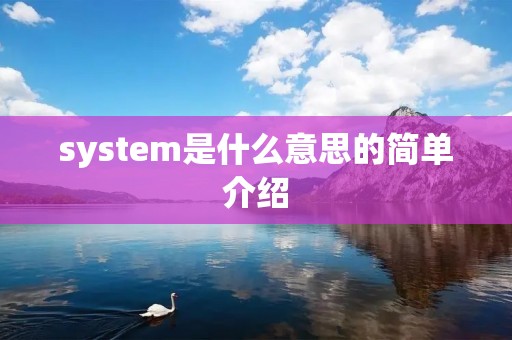 system是什么意思的简单介绍 system是什么意思的简单介绍