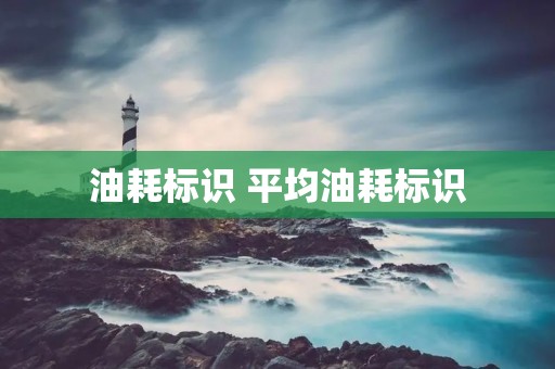 油耗标识 平均油耗标识