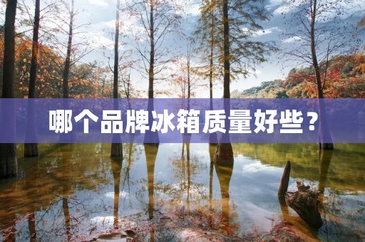 哪个品牌冰箱质量好些? 哪个品牌冰箱质量好些?