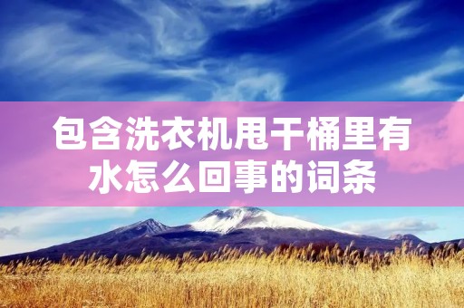 包含洗衣机甩干桶里有水怎么回事的词条 包含洗衣机甩干桶里有水怎么回事的词条
