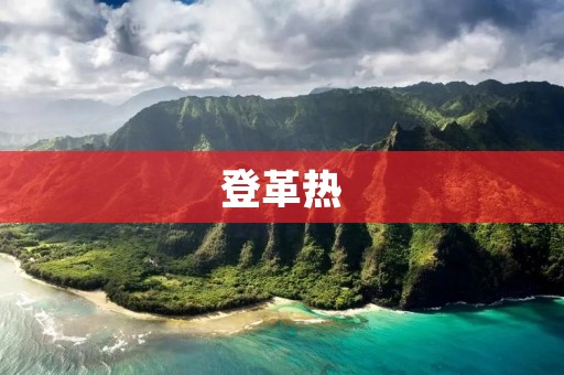 登革热:一种由病毒引起的热性疾病